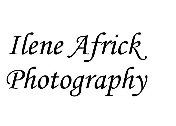  Ilene Africk Photography