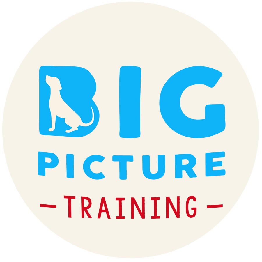 Big Picture Dog Training