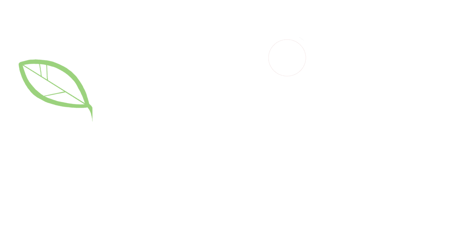 Impact Madagascar