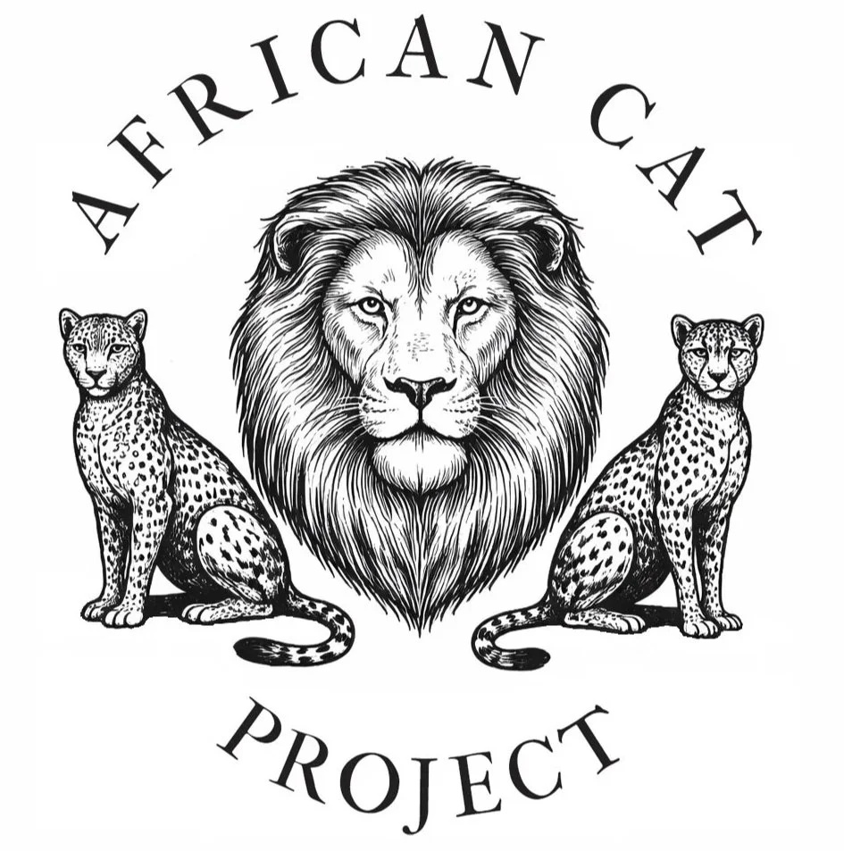 African Cat Project