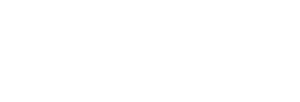 Chef IP