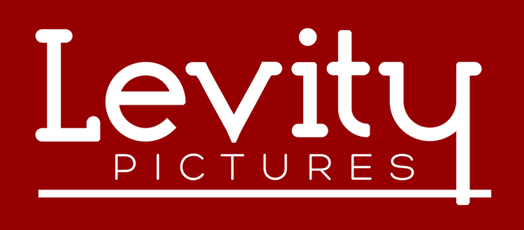 LEVITY PICTURES