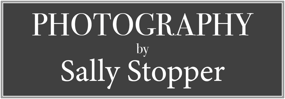 stopSALLYstop Photography