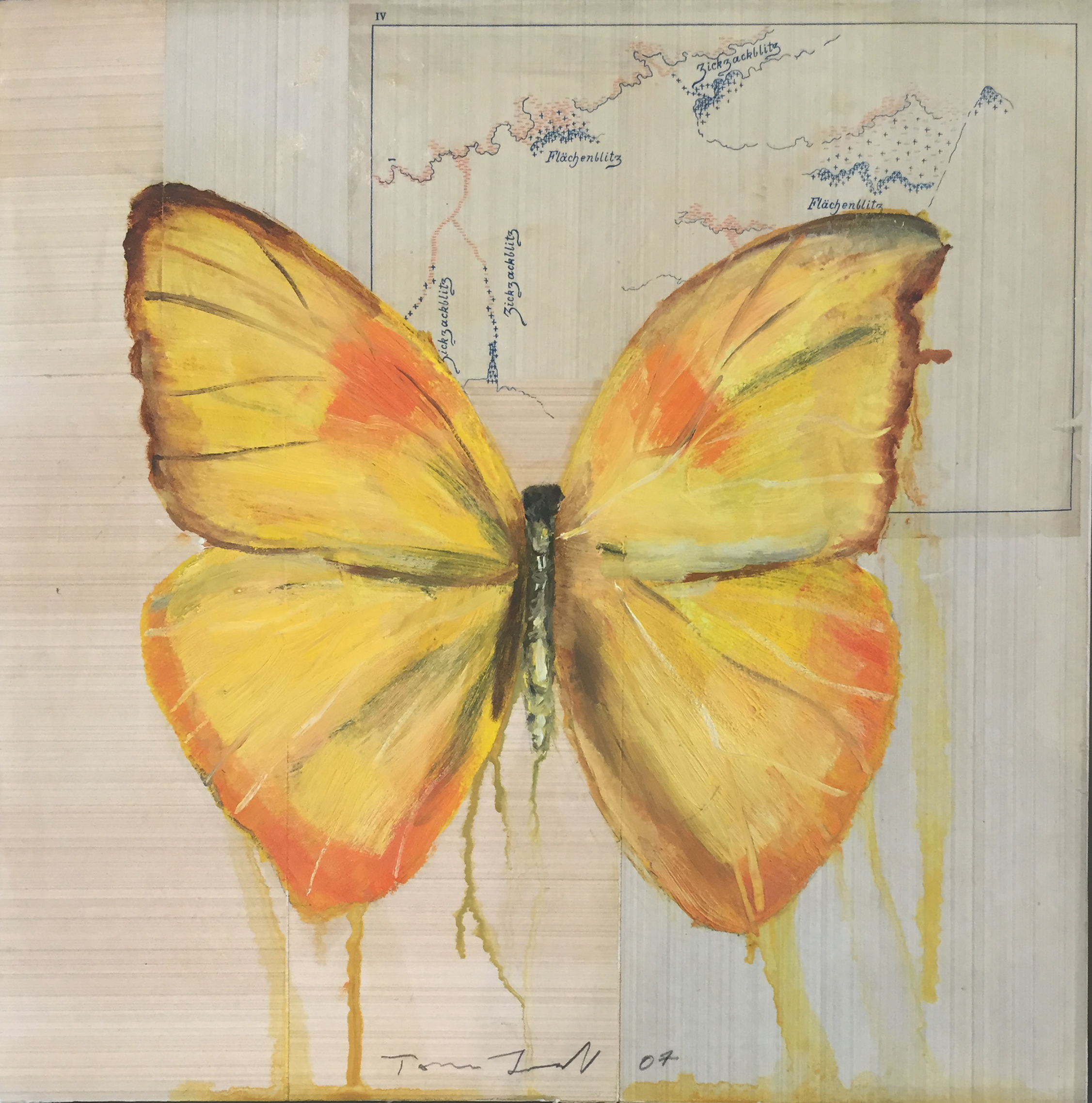 Yellow Butterfly Modern West Fine Art