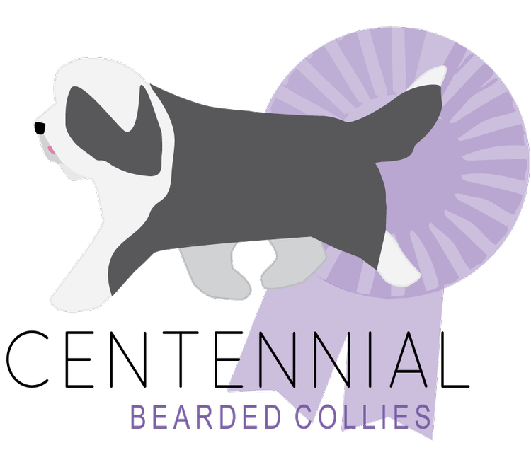 Centennial Bearded Collies