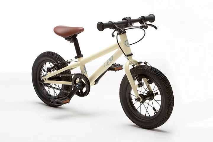 cleary gecko bike