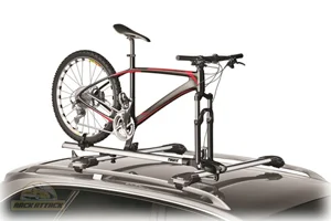 thule thruride