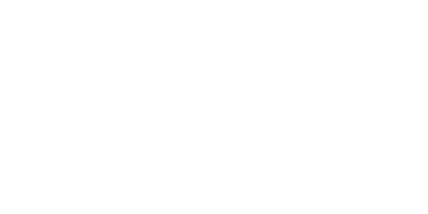 Birkeland Current