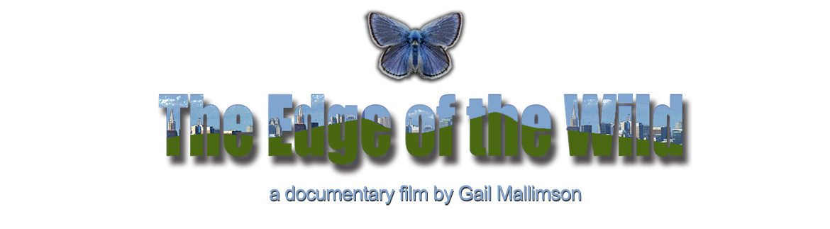 The Edge of the Wild documentary Film