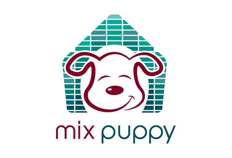 mix puppy