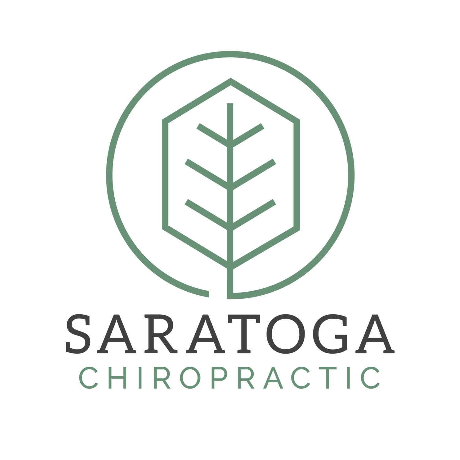 Saratoga Chiropractic
