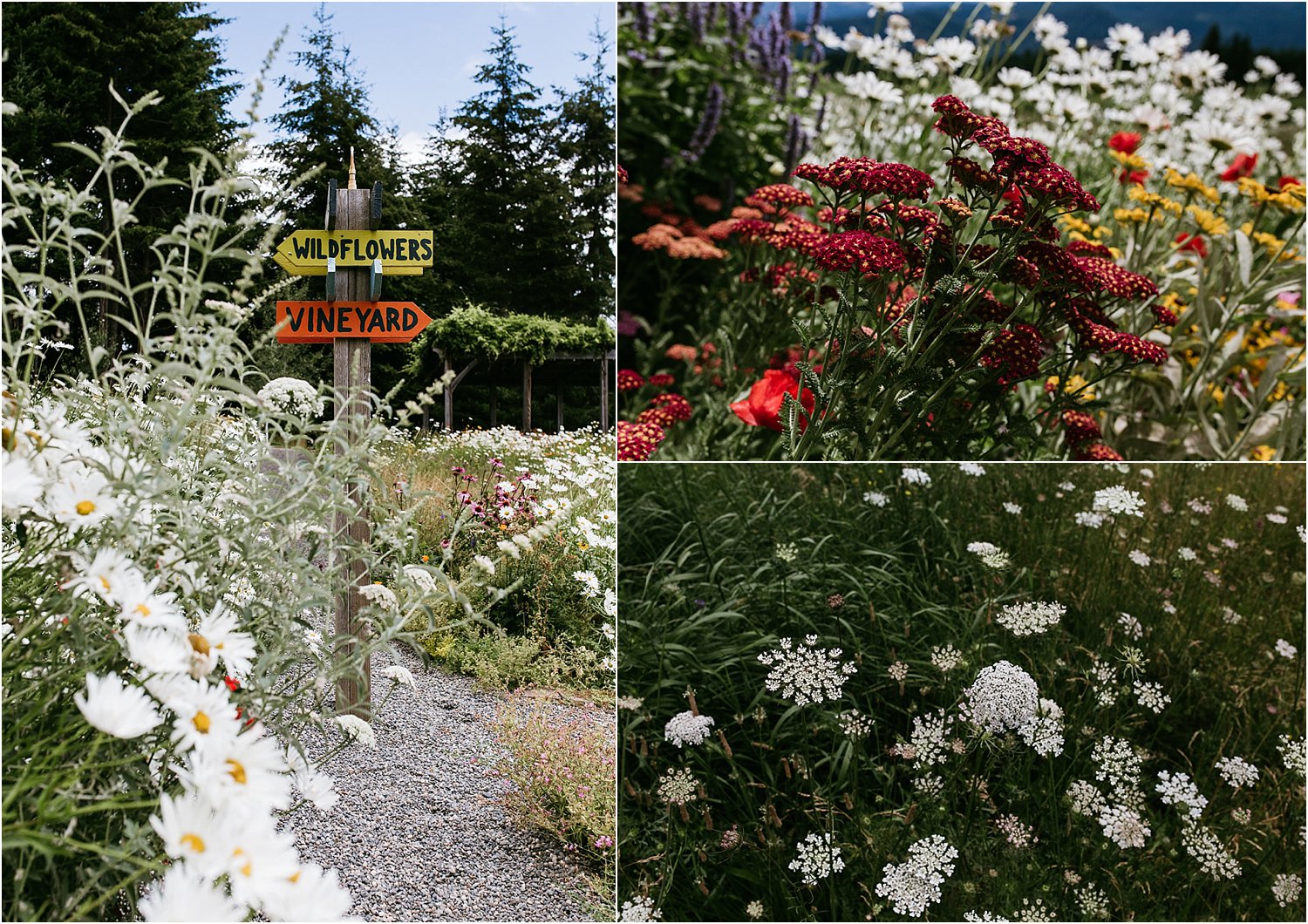 columbiagorgewedding.oregonweddingphotographer-44.jpg.