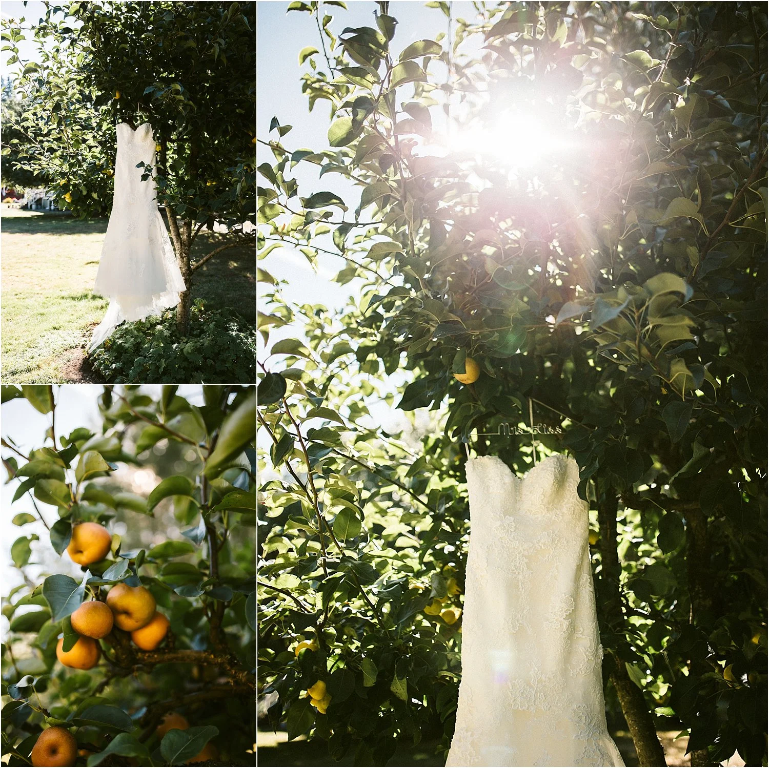 clackamasriverfarmwedding-1.jpg.