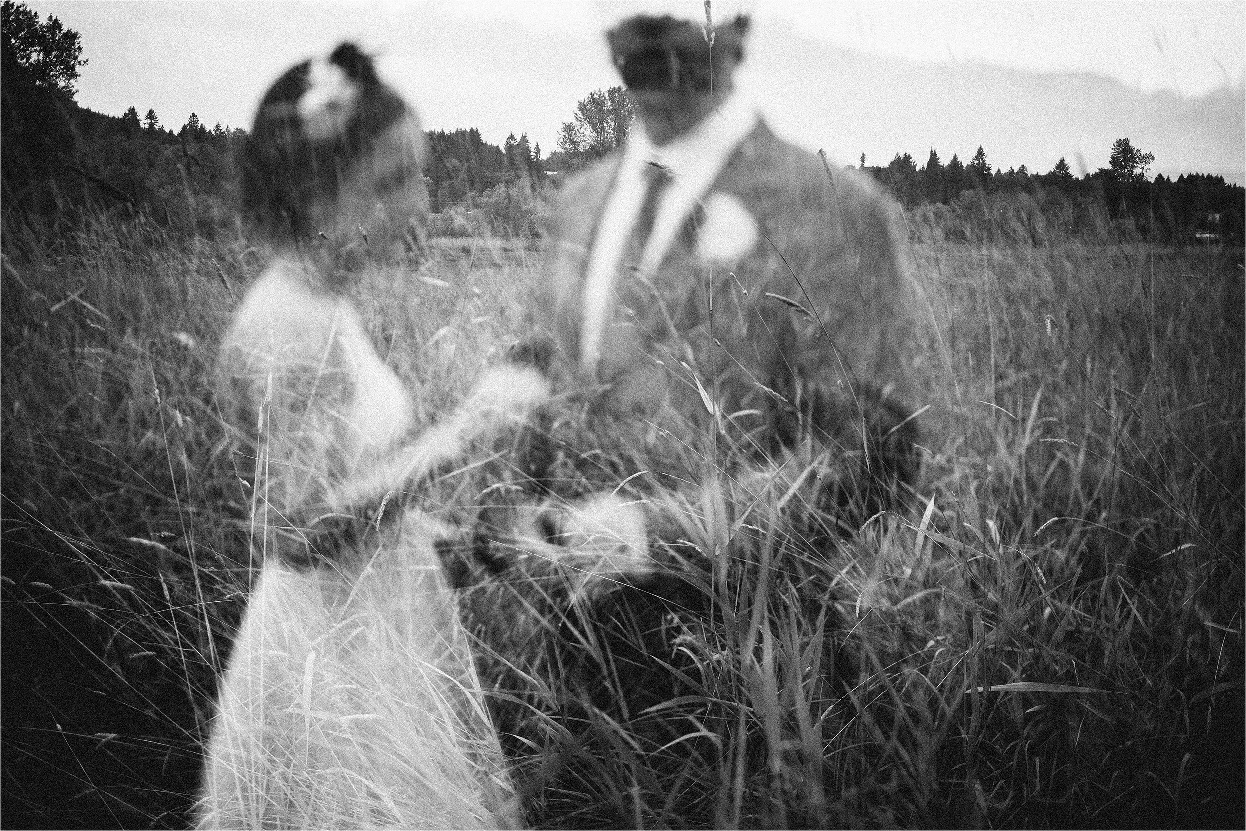 Boho-hispst-Indie-Leeding-Portland-Leeding-Photographer_0404.jpg