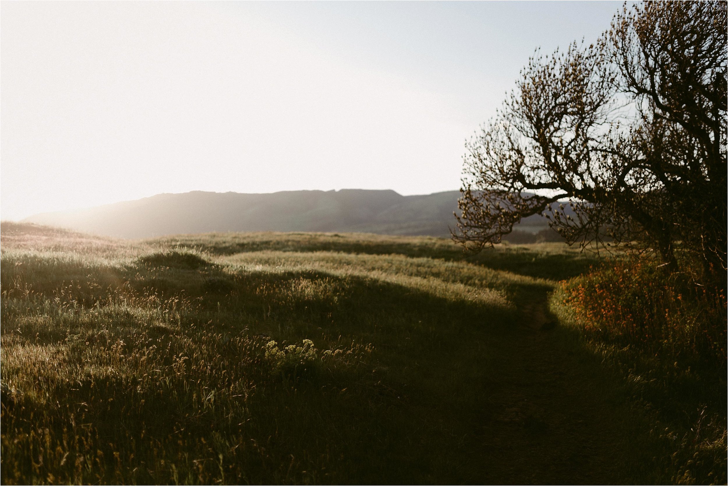 Rowena-Crest-photo-session-14.jpg