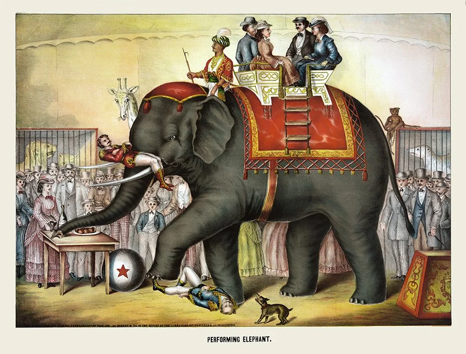 Vintage Circus Elephant Poster