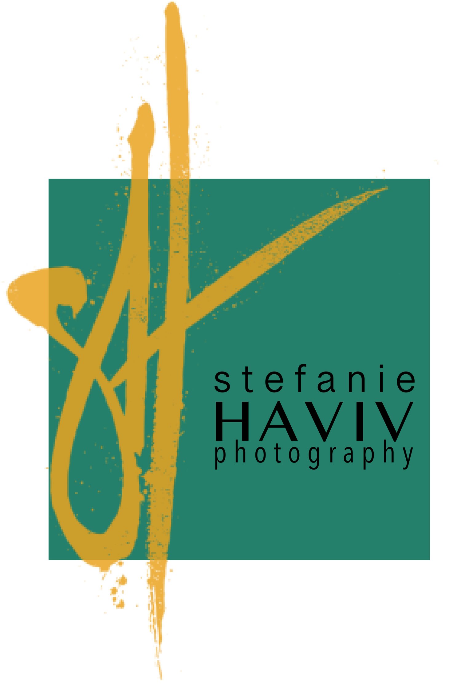 stefanie haviv photography | charlotte wedding photographer