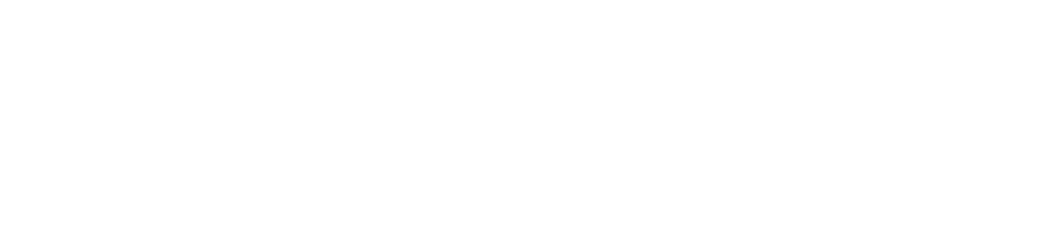 a backyard odyssey