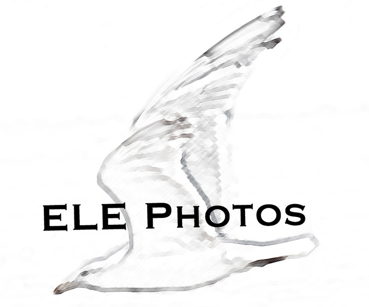 ELE Photos