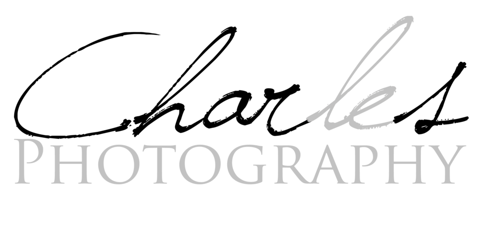 Wedding Photography, Portrait Photography | San Francisco, San Jose, Bay Area, CA