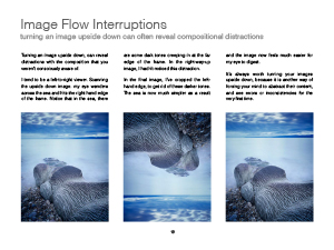 digitaldarkroom-interpretation-techniques-ebook-19.jpg
