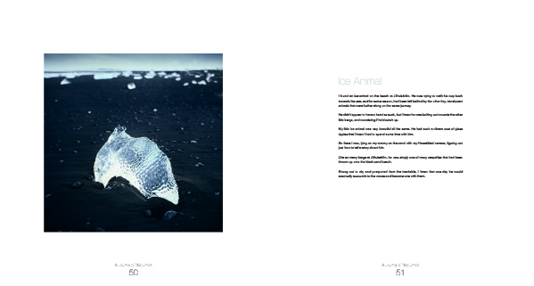 A-Journal-of-Nocturnes-26.jpg