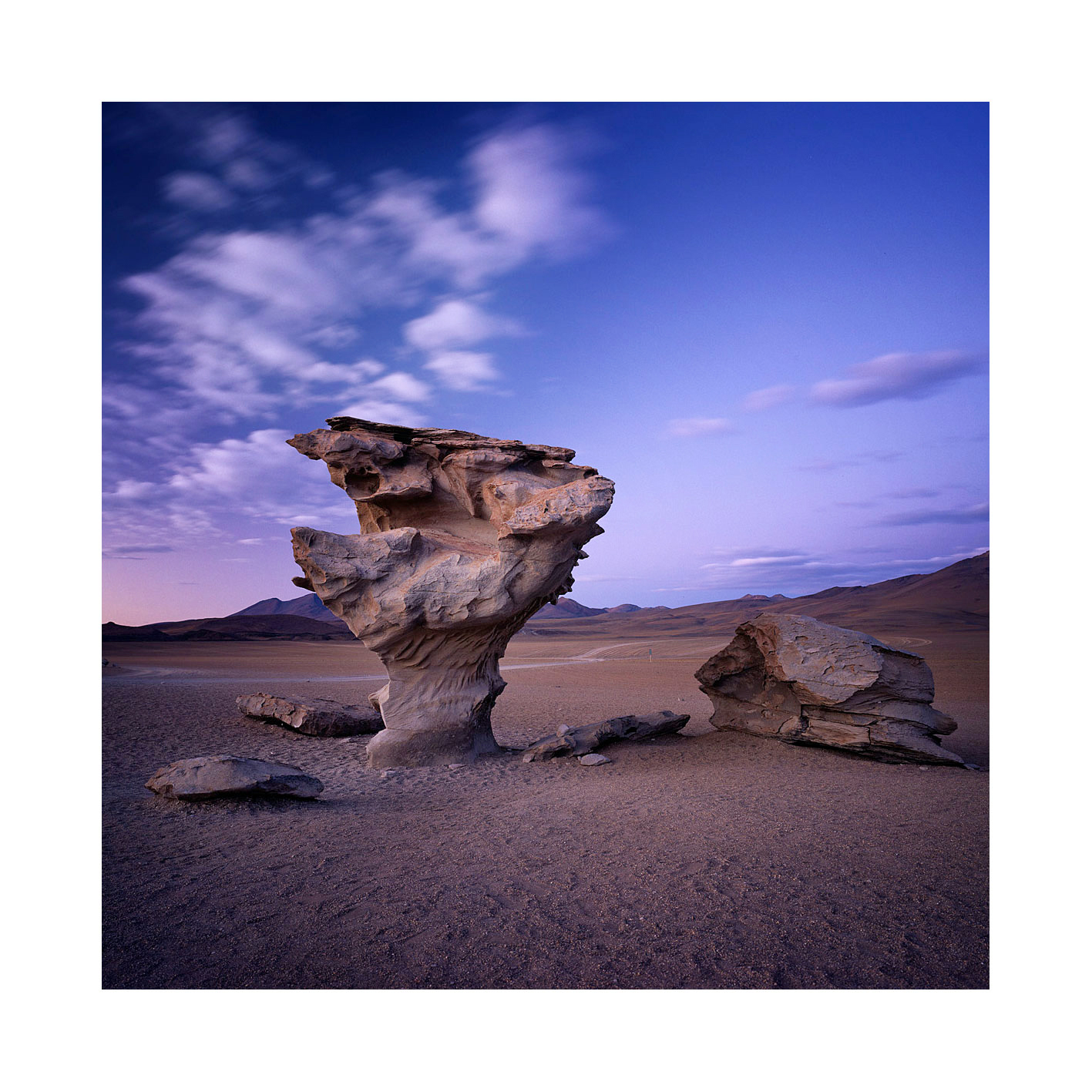 El-Arbol-de-Piedra.jpg