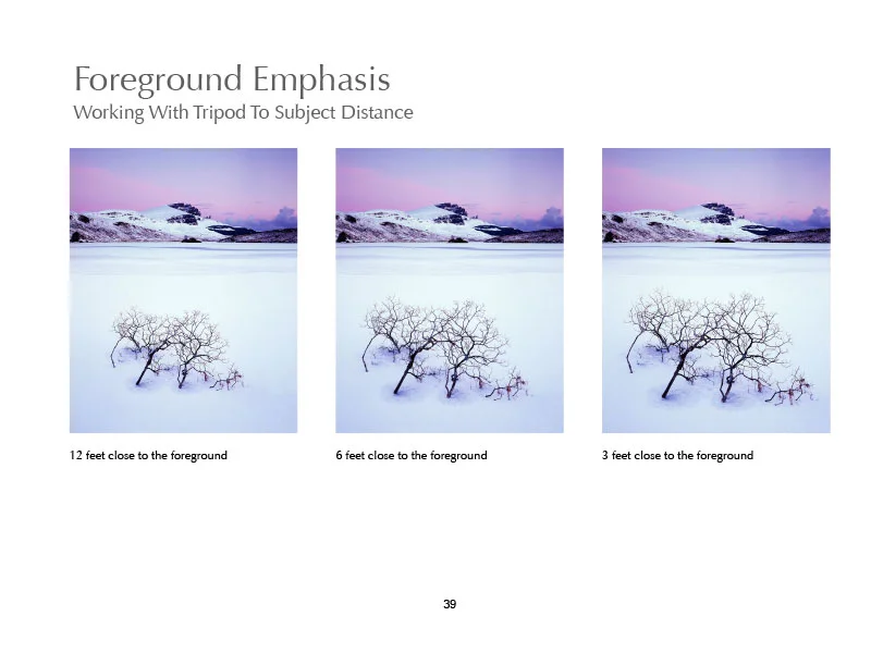 Composition-2nd-Edition-09-39.jpg
