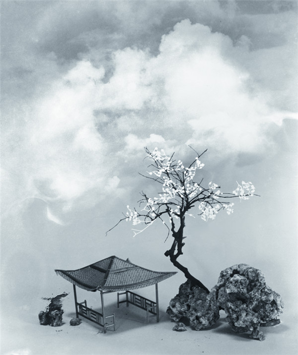 照片 由Lang Jingshan