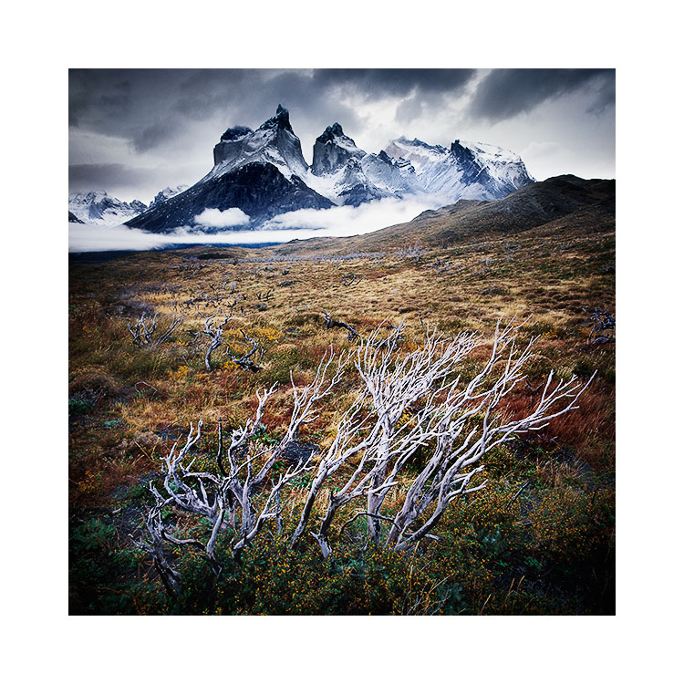 Cuernos.jpg