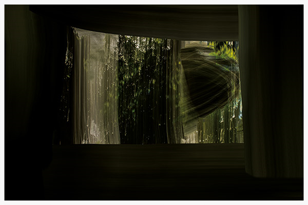 图片©Chris Friel。获准使用