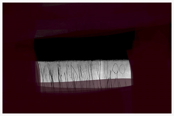 图片©Chris Friel。获准使用