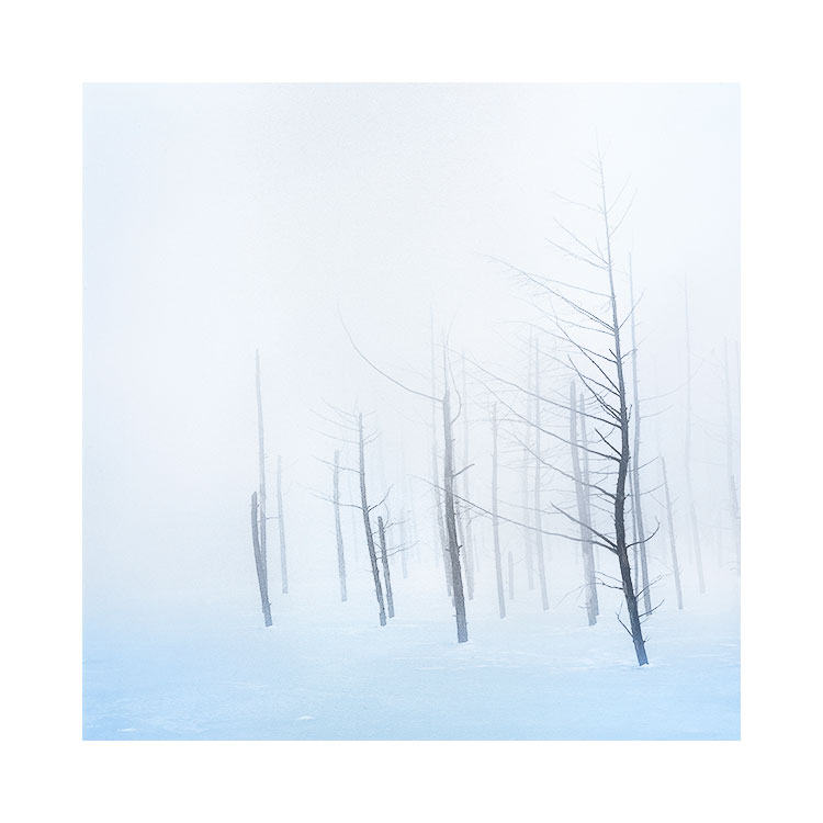 蓝色的池塘,日本北海道,2015年12月图片©Bruce Percy