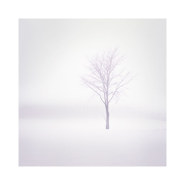 北见,天野,北海道, 图片©Bruce Percy 2015