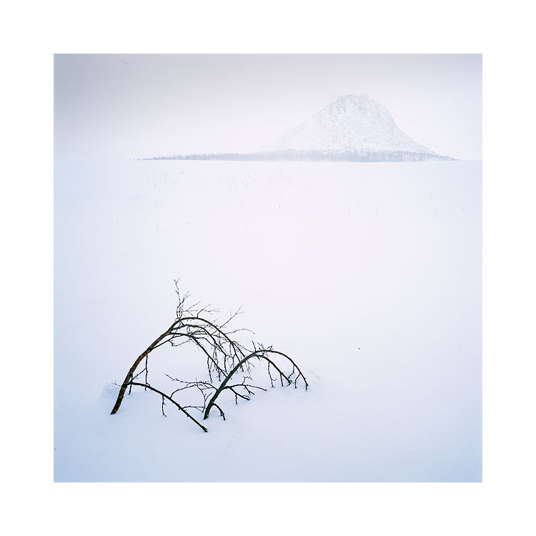Senja-(6).jpg