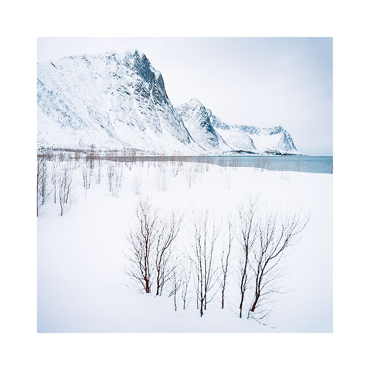 Senja-(8).jpg