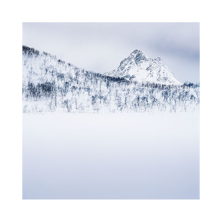 Senja-(16).jpg