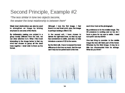 Tonal-Letablys-eBook-14.jpg