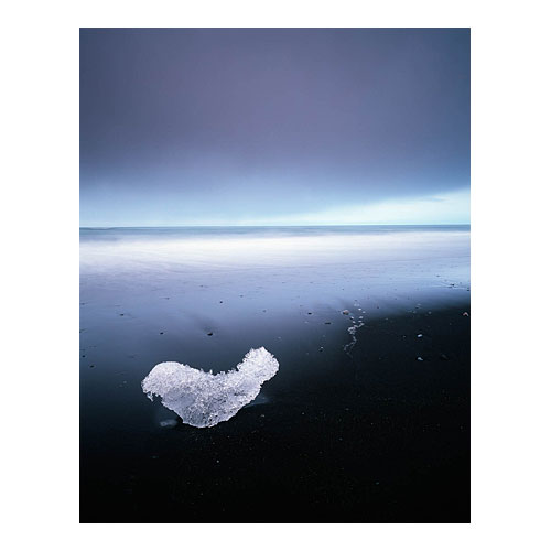 Jokulsarlon-Ice-Seal.jpg