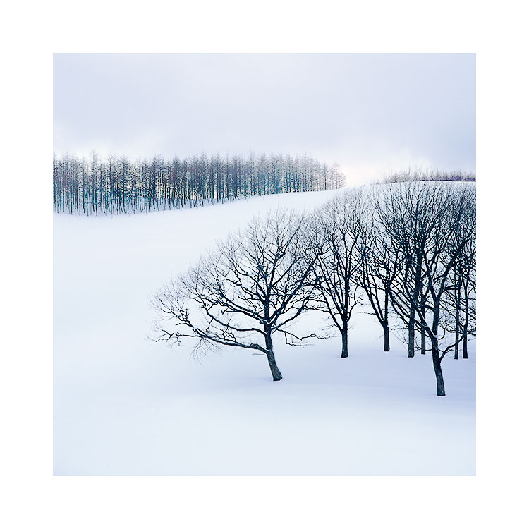Hokkaido-(14).jpg