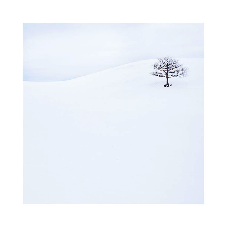 Hokkaido-(13)-Copy.jpg