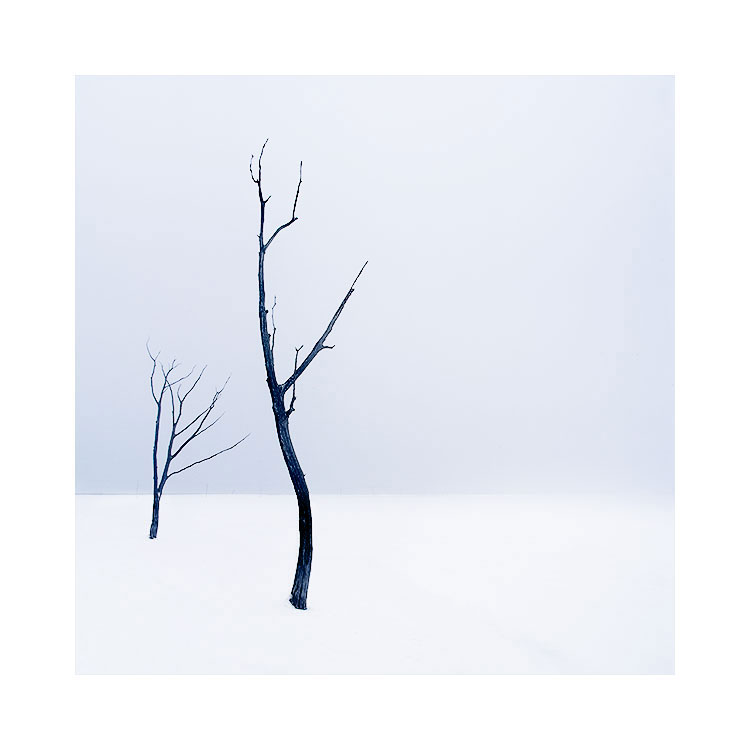 Hokkaido-(20)-Copy.jpg