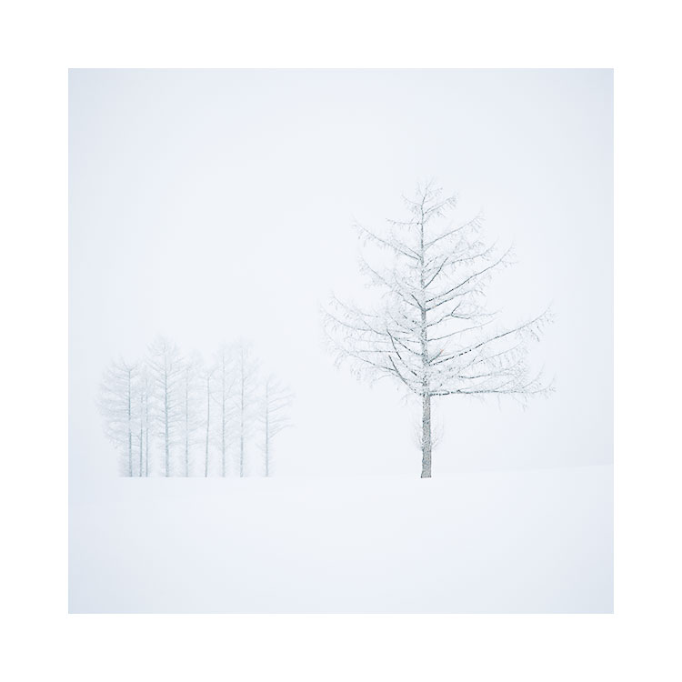 北海道 - (15).jpg