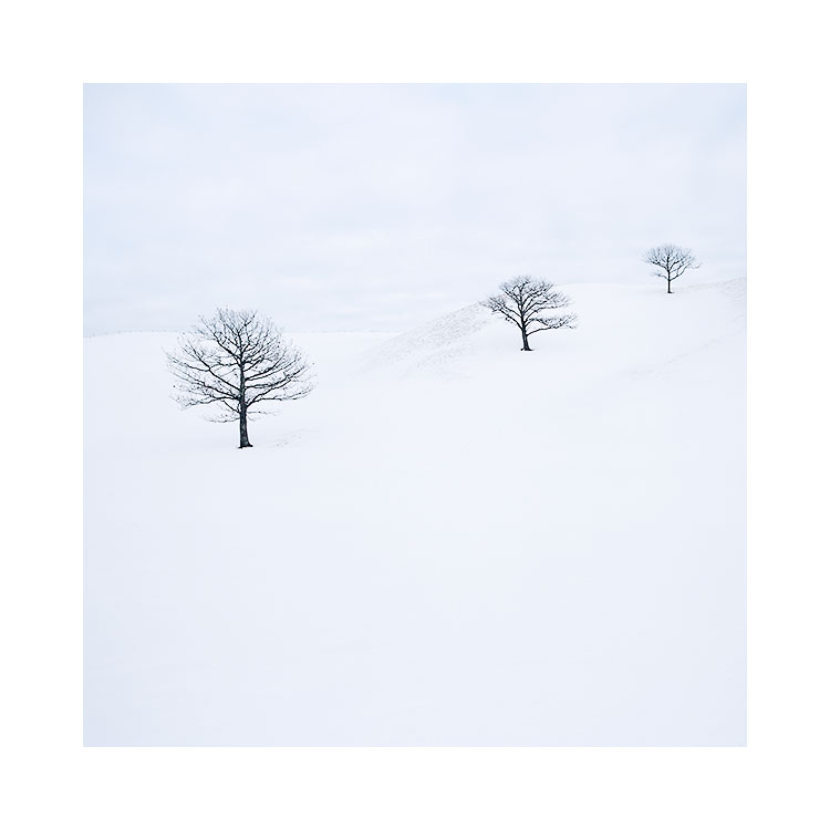 Hokkaido-(12)-Copy.jpg