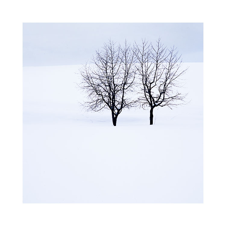 Hokkaido-(5).jpg