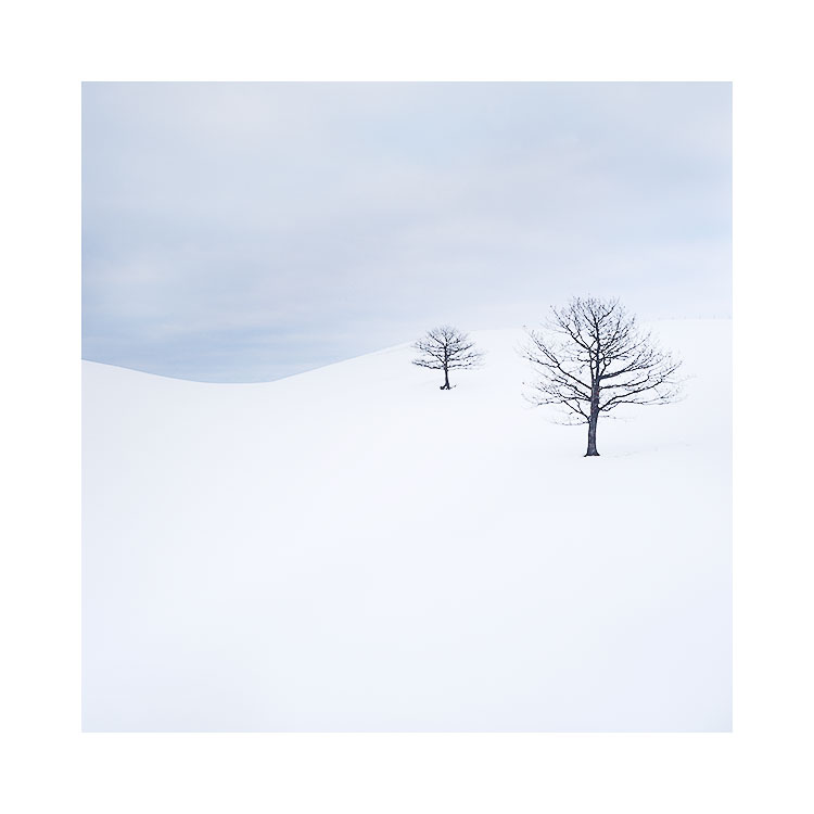 北海道 - (9).jpg