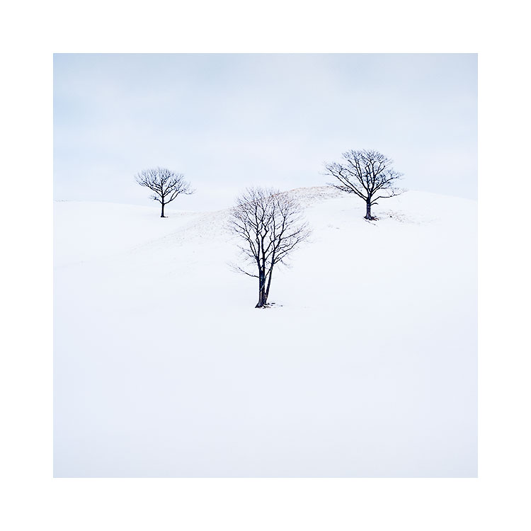 北海道 - (10).jpg