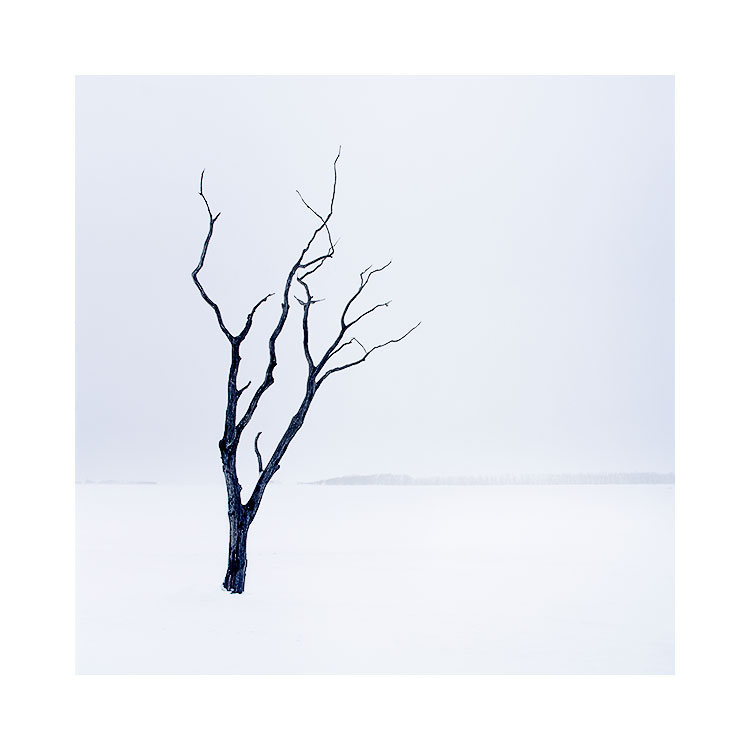 北海道 - (20).jpg