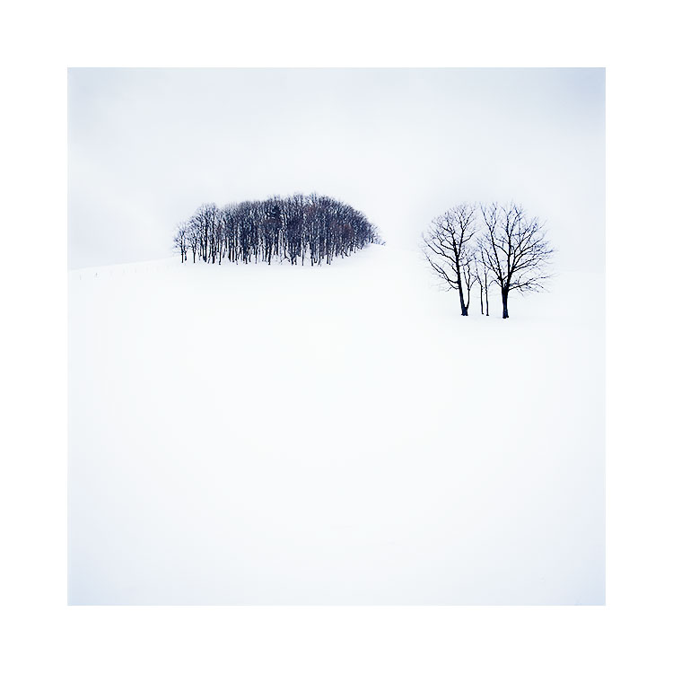 北海道-2018.jpg