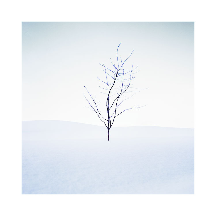 Hokkaido-2018-(29).jpg